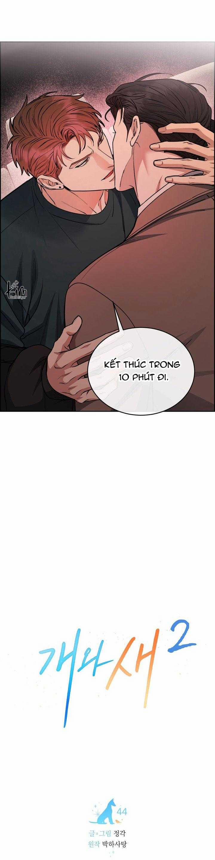 Chó Và Chim 44 trang 4