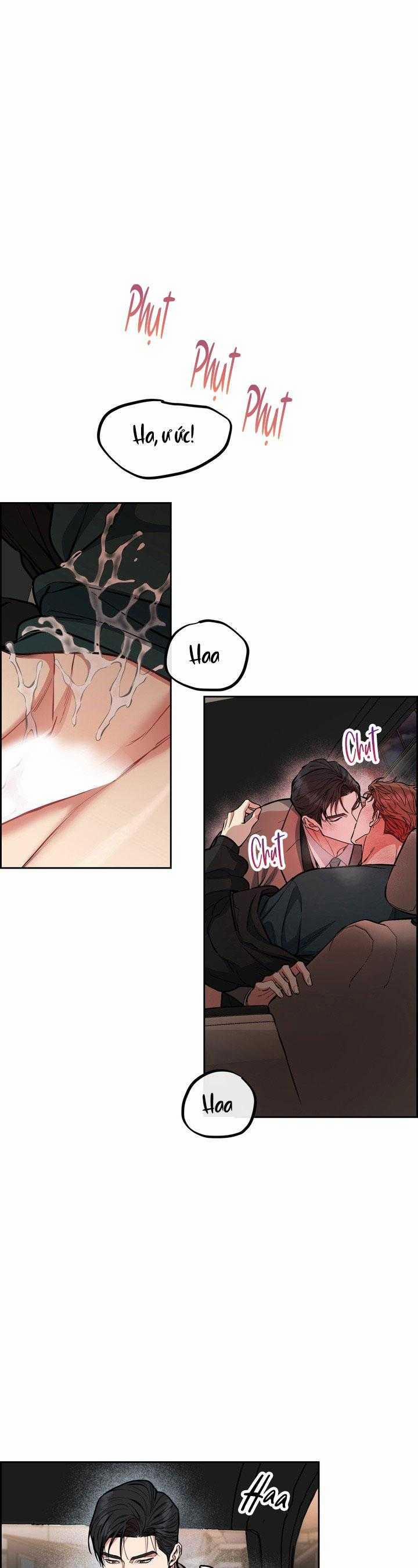 Chó Và Chim 44 trang 5