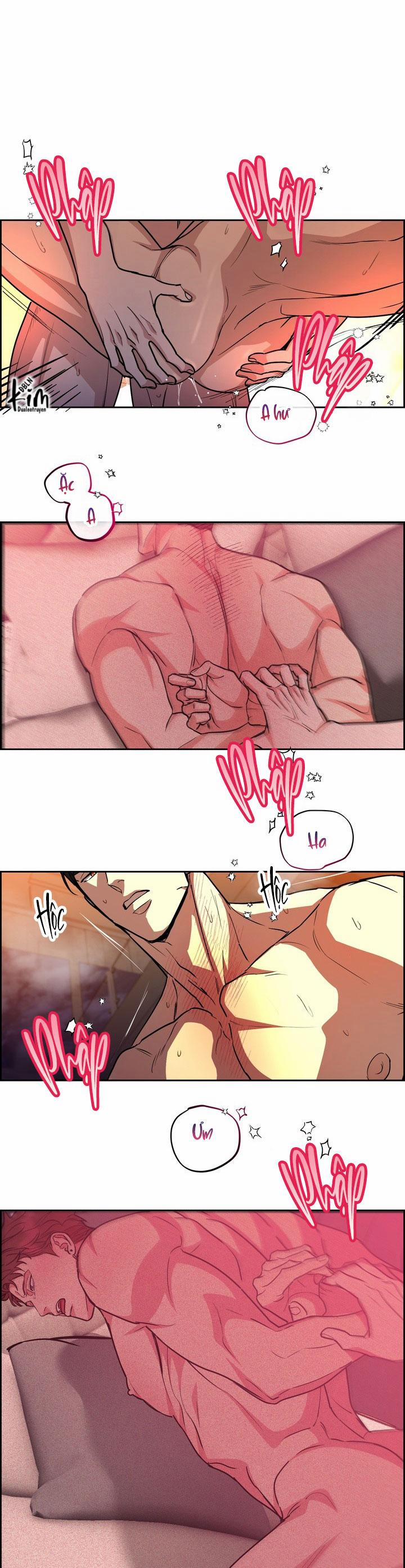 Chó Và Chim 47 trang 11