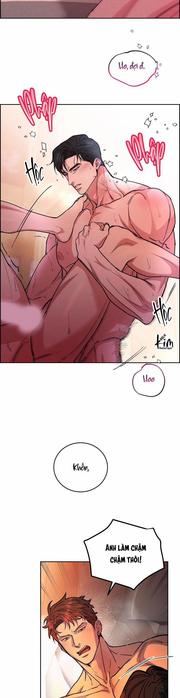 Chó Và Chim 47 trang 12