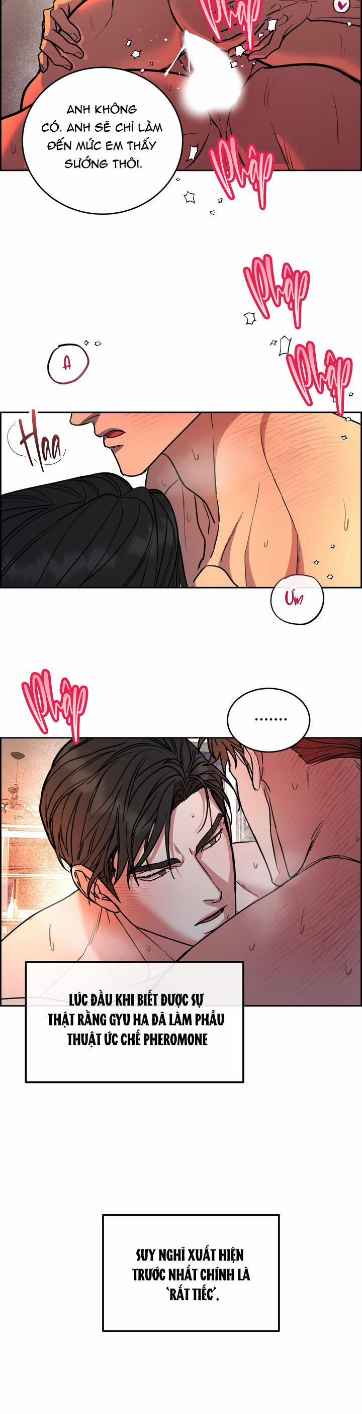 Chó Và Chim 47 trang 17