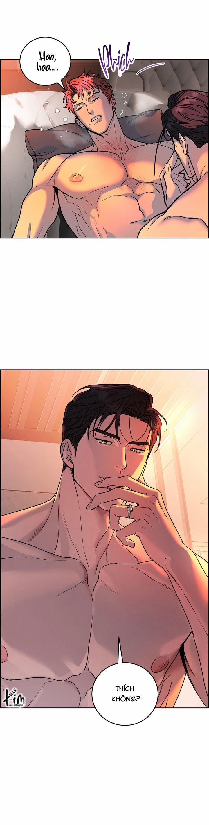 Chó Và Chim 47 trang 7