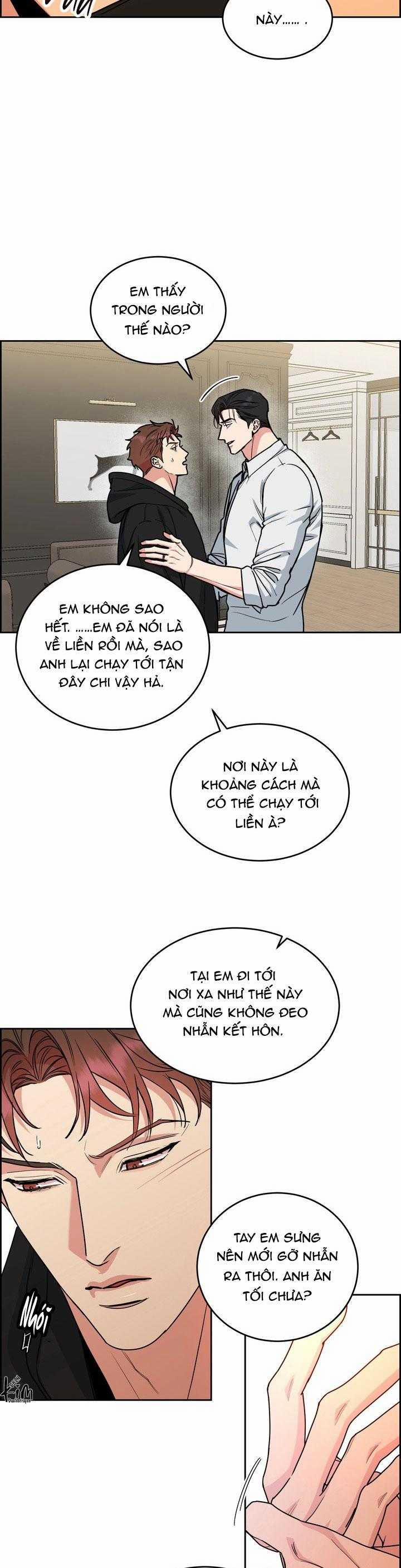 Chó Và Chim 50 trang 11