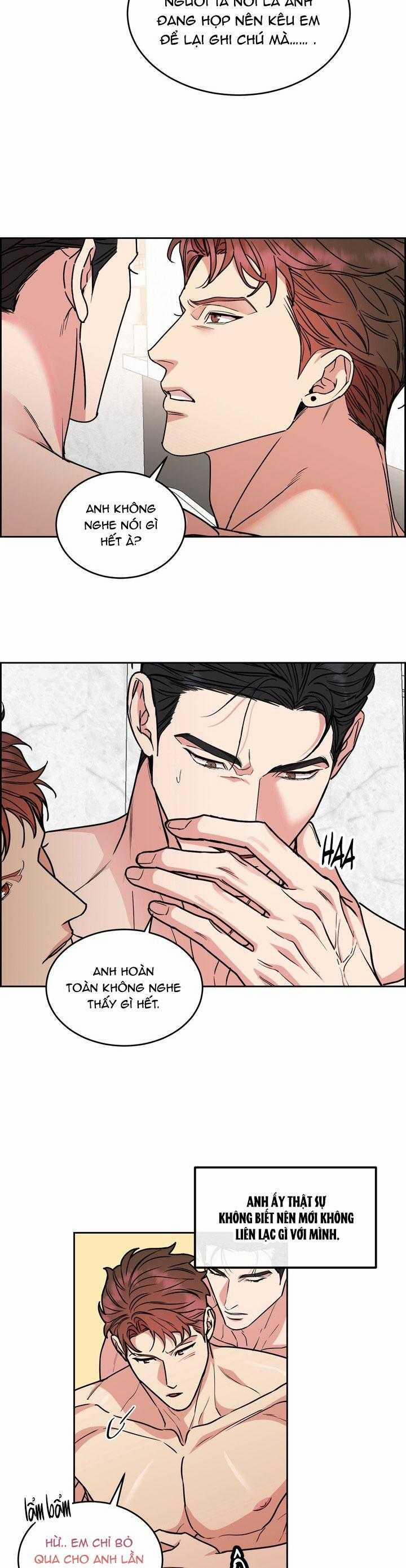 Chó Và Chim 50 trang 16