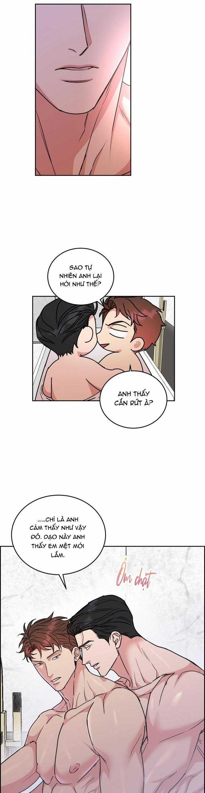 Chó Và Chim 50 trang 18