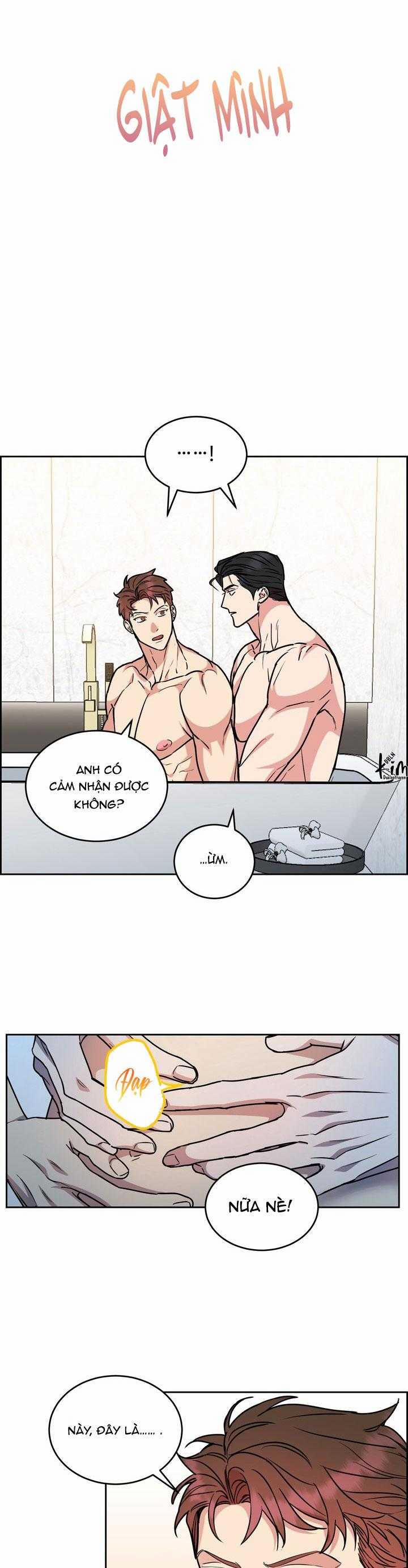 Chó Và Chim 50 trang 23