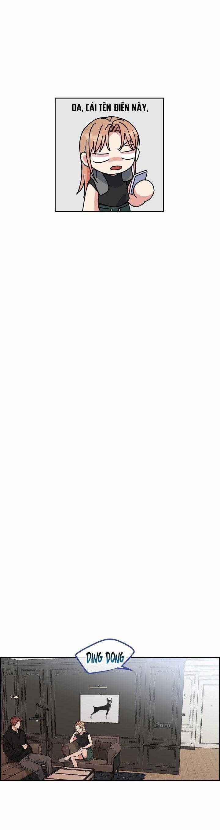 Chó Và Chim 50 trang 7