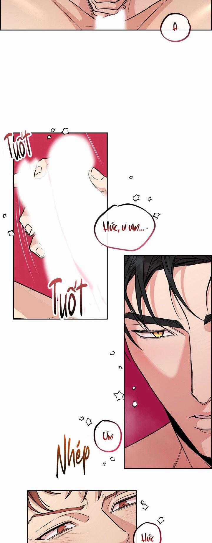 Chó Và Chim 52 trang 5