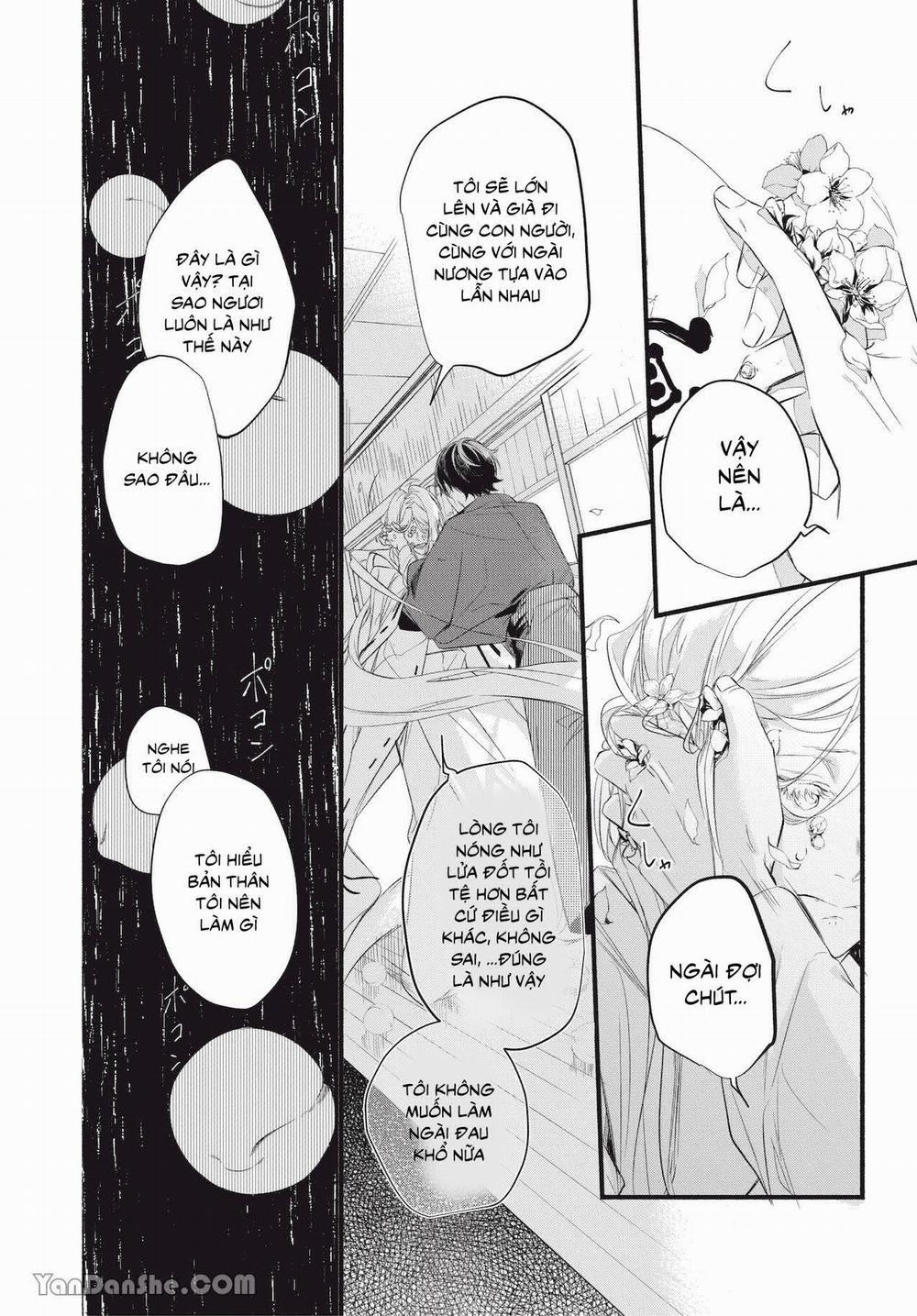 Chốn Về Của Thần 3.2 trang 11