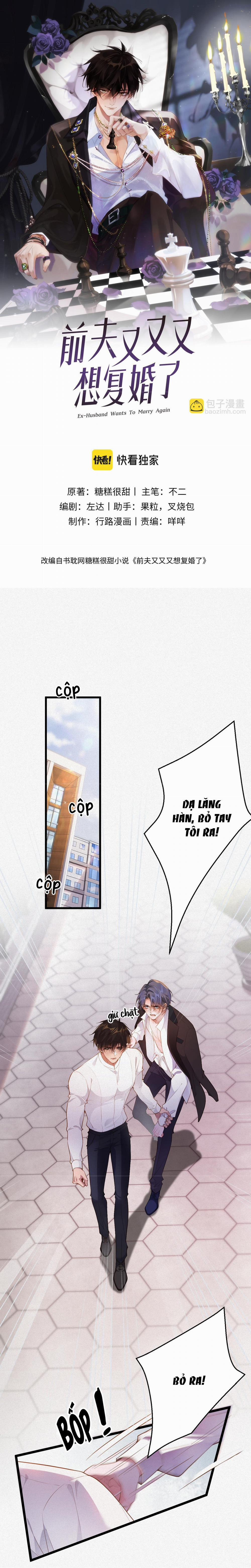 Chồng Cũ Lại Muốn Tái Hôn Rồi 14 trang 0