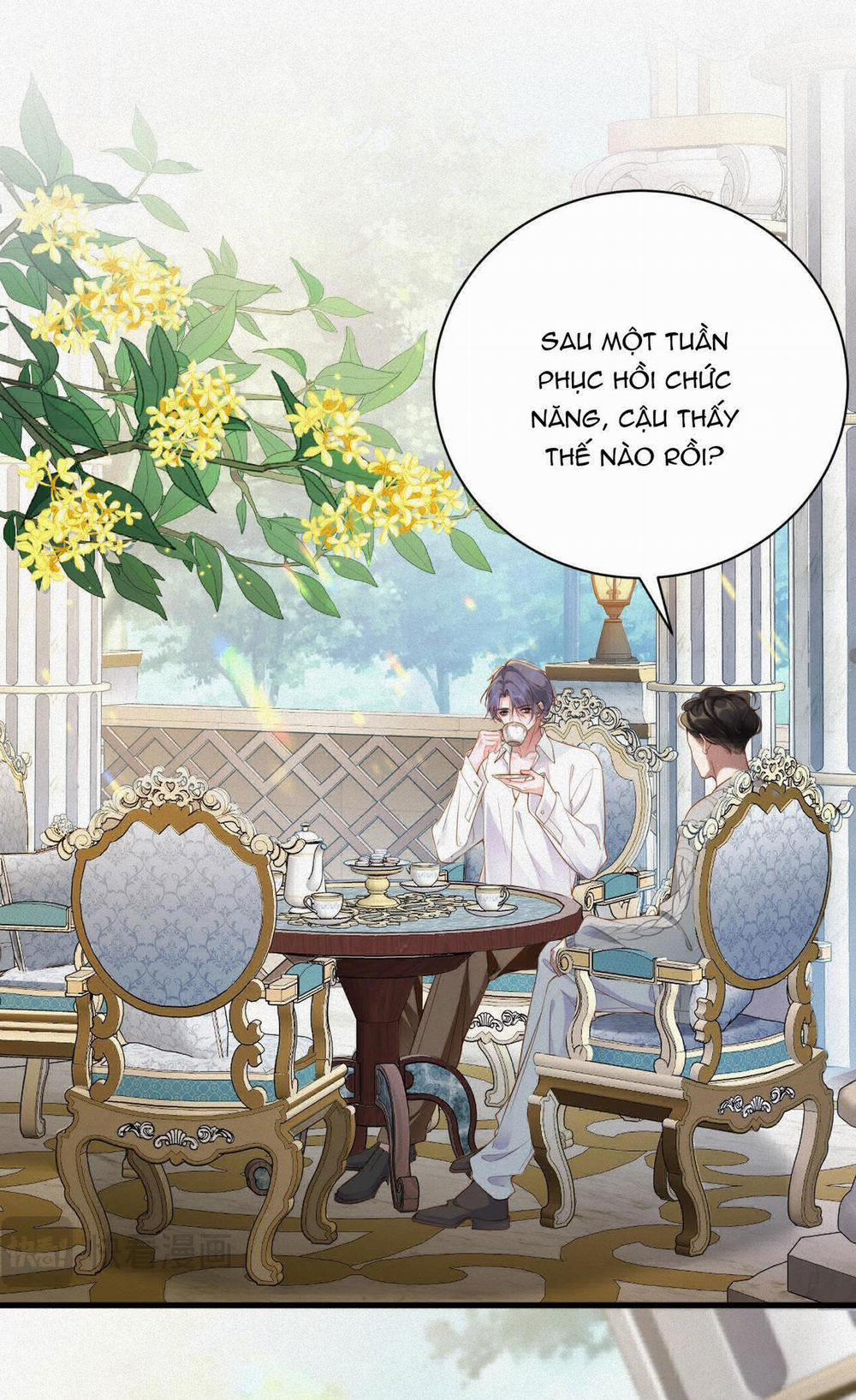 Chồng Cũ Muốn Tái Hôn Lần Nữa 24 trang 36