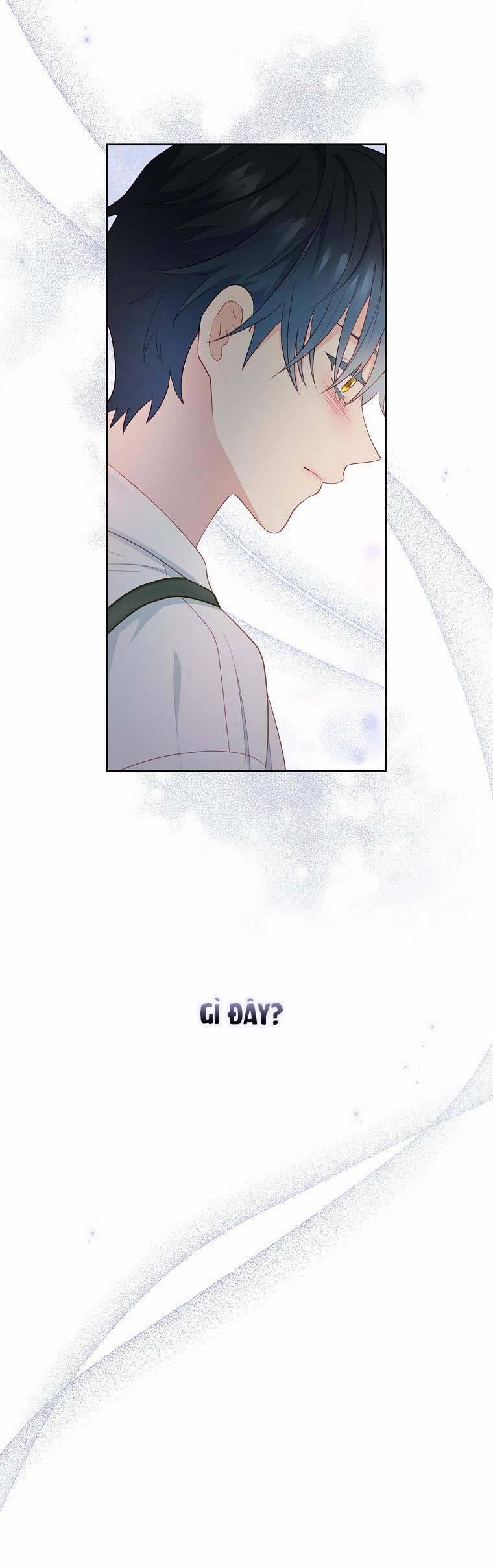 Chồng Tôi Là Người Do Tôi Định Đoạt 23 trang 12
