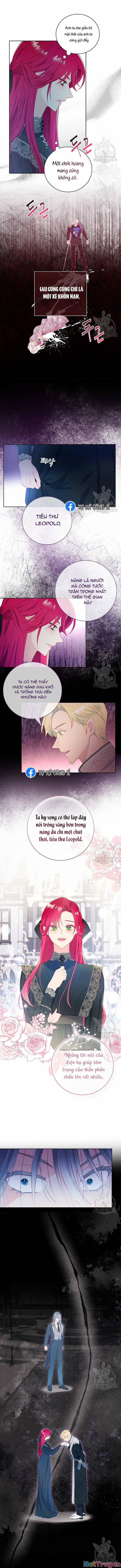 Chồng Tôi Là Người Do Tôi Định Đoạt 6 trang 5