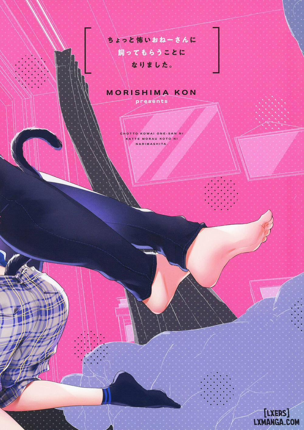 Chotto Kowai Onee-san ni Katte morau Koto ni Narimashita Oneshot trang 41