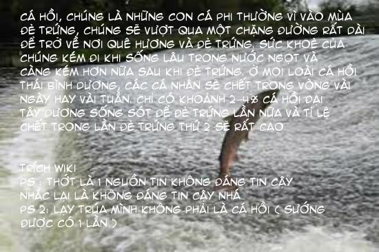 Chú cá hồi lười học Oneshot trang 5