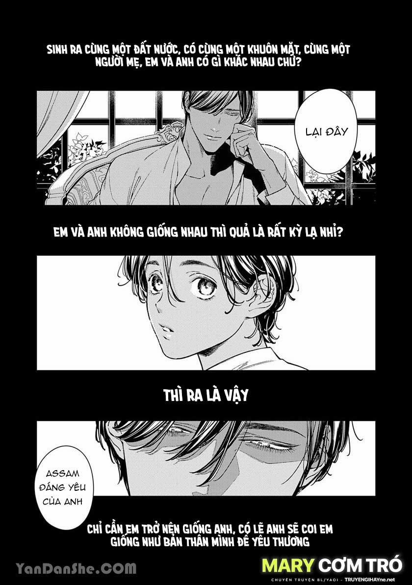 Chú Chim Bình Minh Đầu Hàng Mặt Trăng Quyến Rũ 1.1 trang 3