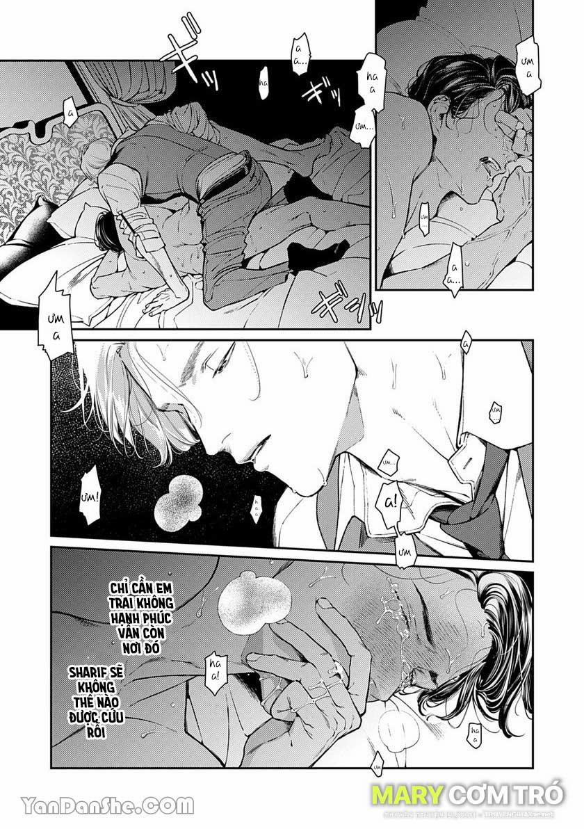 Chú Chim Bình Minh Đầu Hàng Mặt Trăng Quyến Rũ 2 trang 10