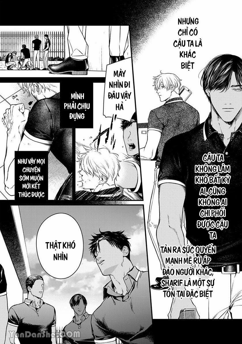 Chú Chim Bình Minh Đầu Hàng Mặt Trăng Quyến Rũ 3.1 trang 7