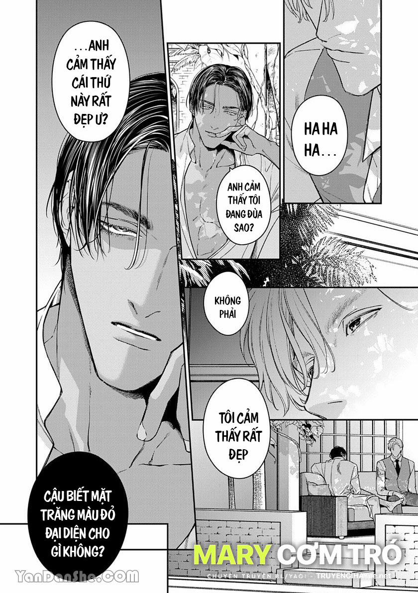 Chú Chim Bình Minh Đầu Hàng Mặt Trăng Quyến Rũ 3.2 trang 4