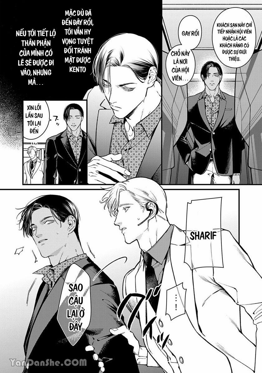 Chú Chim Bình Minh Đầu Hàng Mặt Trăng Quyến Rũ 4.1 trang 7