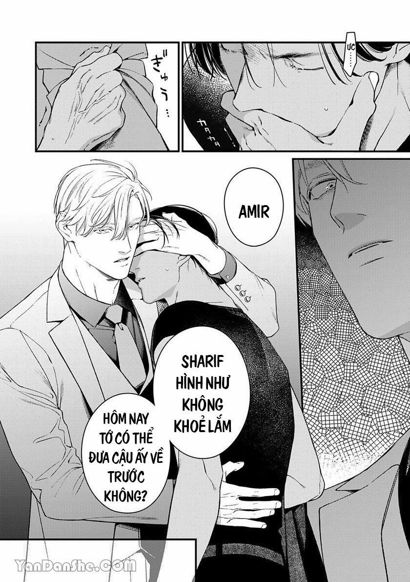 Chú Chim Bình Minh Đầu Hàng Mặt Trăng Quyến Rũ 5.1 trang 16