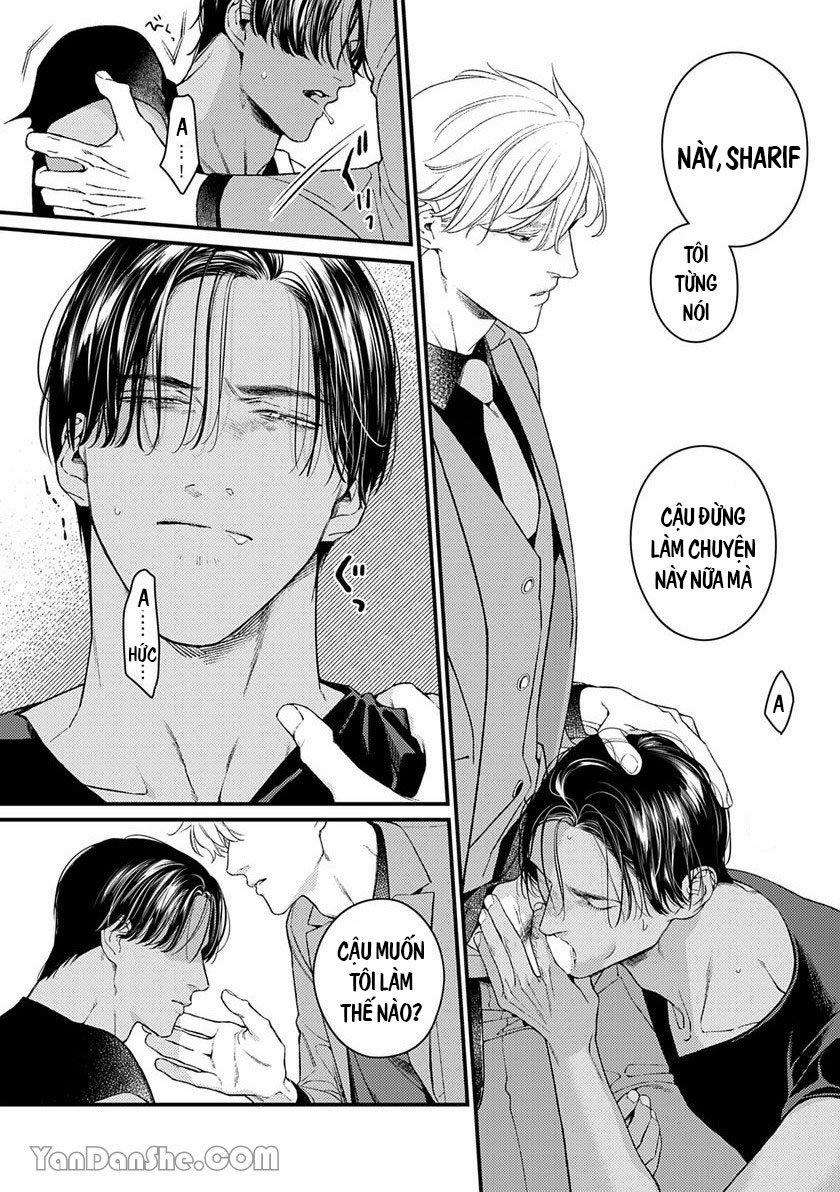 Chú Chim Bình Minh Đầu Hàng Mặt Trăng Quyến Rũ 5.2 trang 2