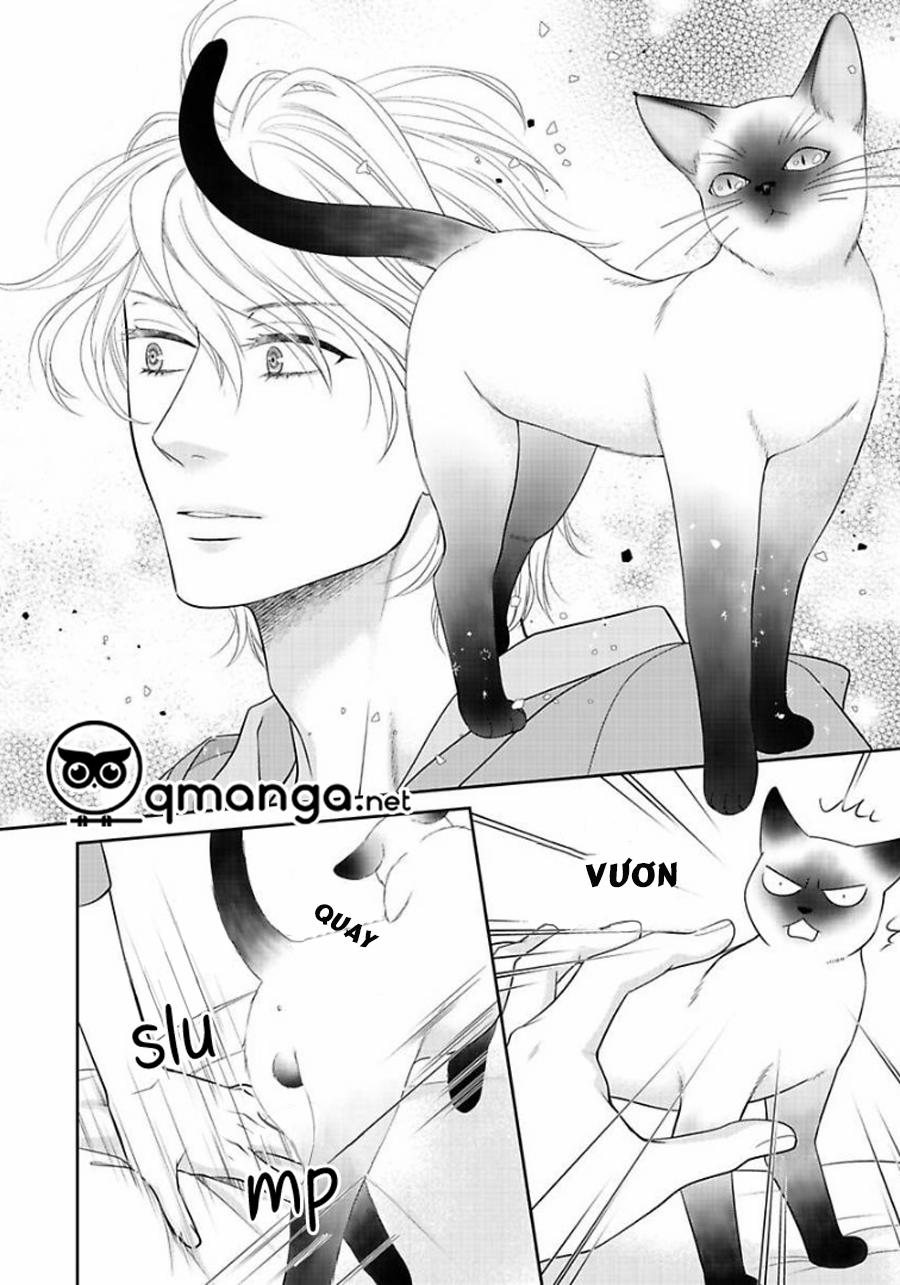 Chú Mèo Của Tôi 1 trang 27