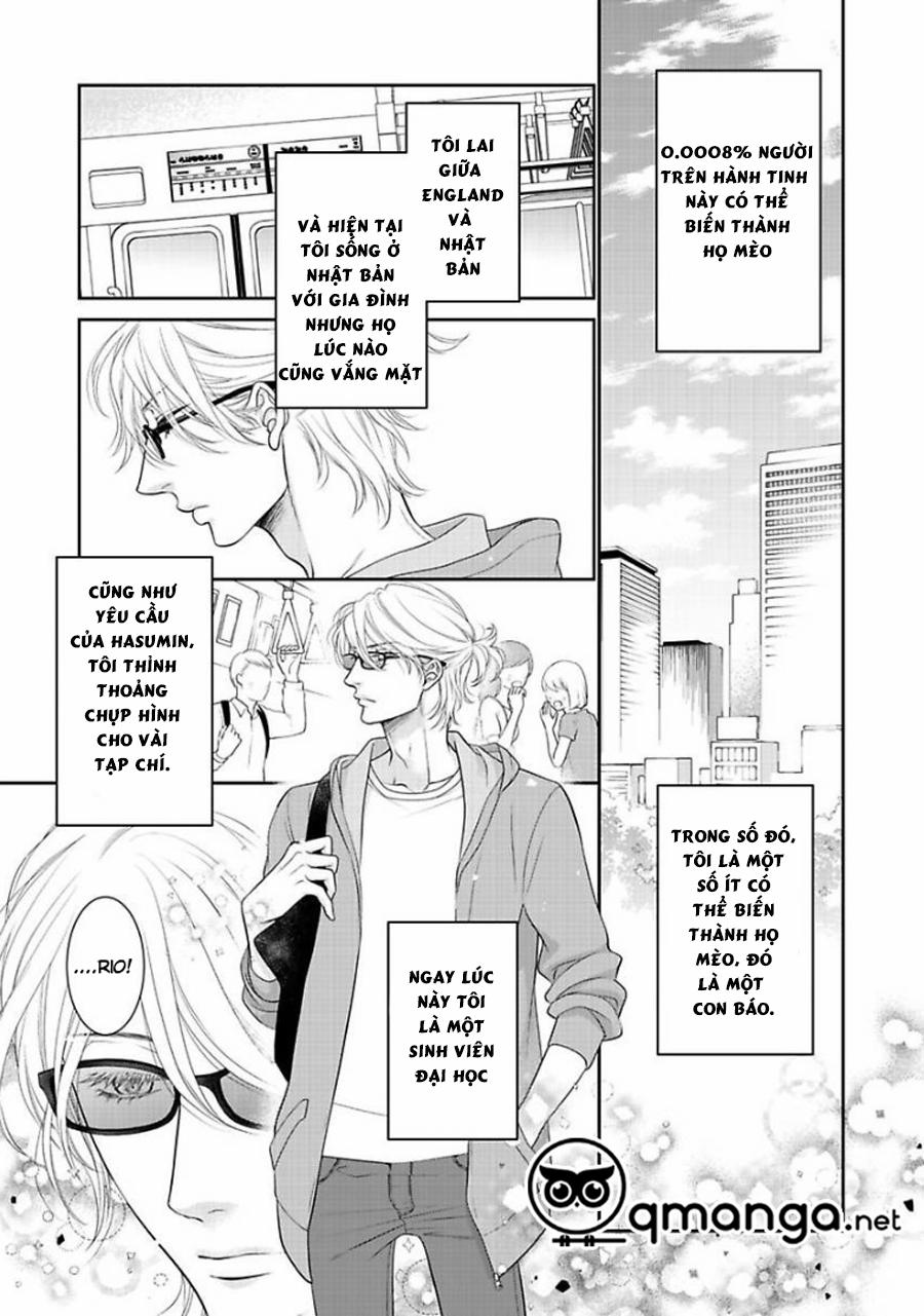 Chú Mèo Của Tôi 1 trang 6