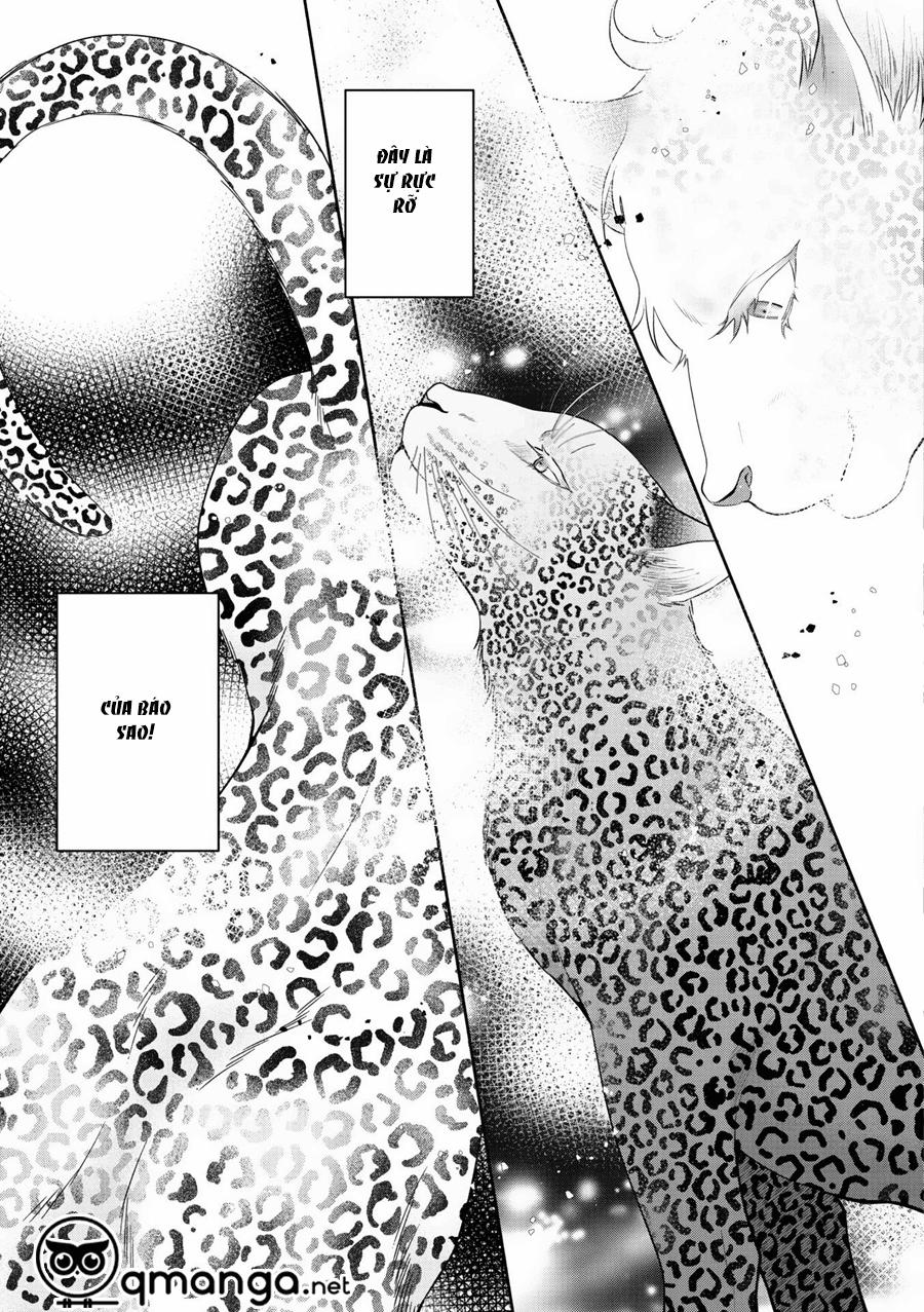 Chú Mèo Của Tôi 4 trang 29