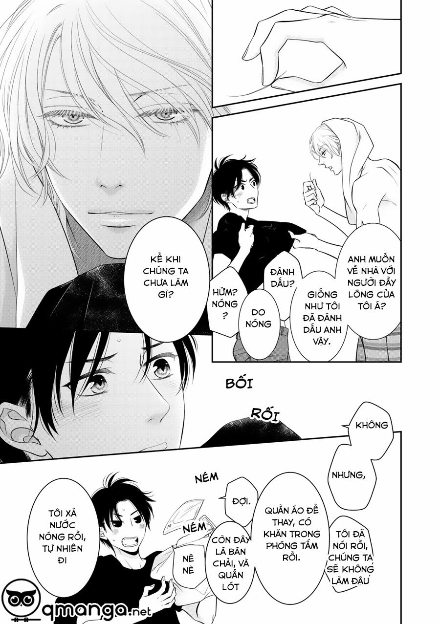 Chú Mèo Của Tôi 5 trang 11