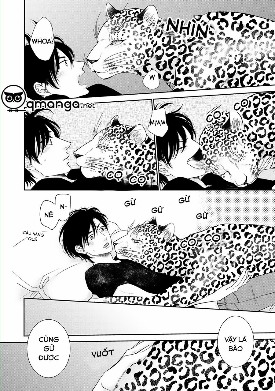 Chú Mèo Của Tôi 5 trang 6