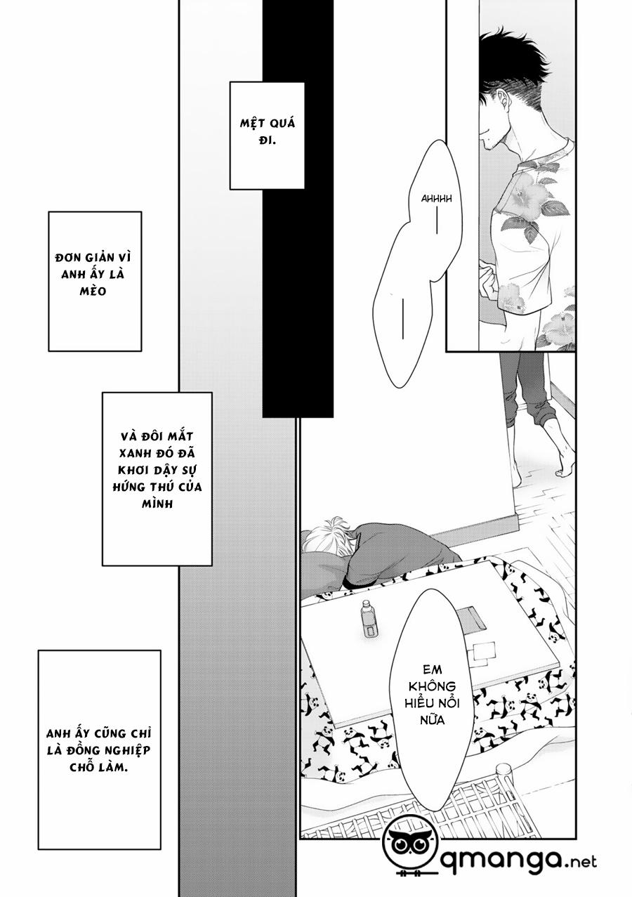 Chú Mèo Của Tôi 6 trang 12