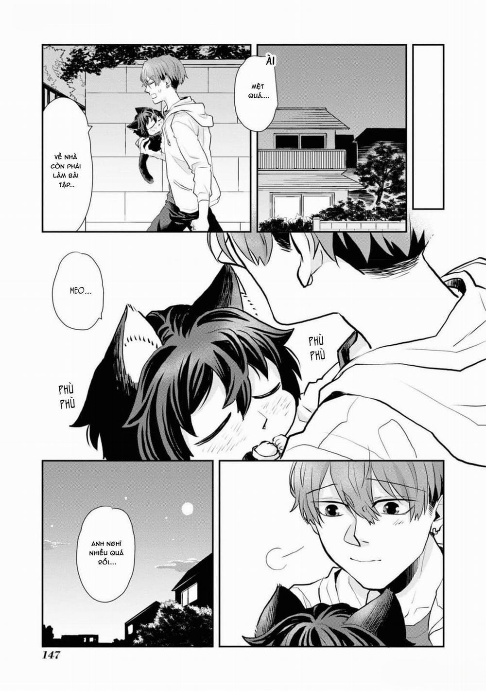 Chú Mèo Đẹp Trai Muốn Được Haruta Nuôi Dưỡng 8 trang 14