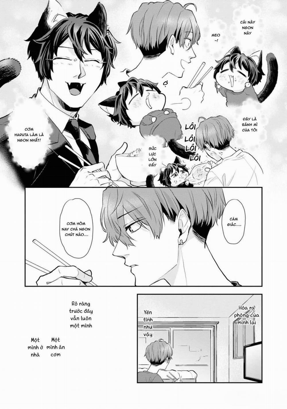 Chú Mèo Đẹp Trai Muốn Được Haruta Nuôi Dưỡng 8 trang 2