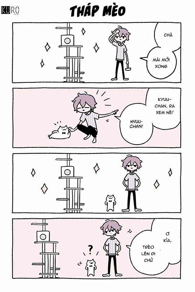 Chú Mèo Kỳ Diệu Kyuu-Chan 0 0 Tháp mèo trang 0