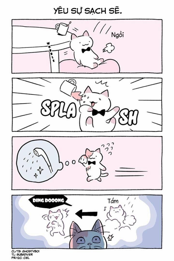 Chú Mèo Kỳ Diệu Kyuu-Chan 782 trang 2
