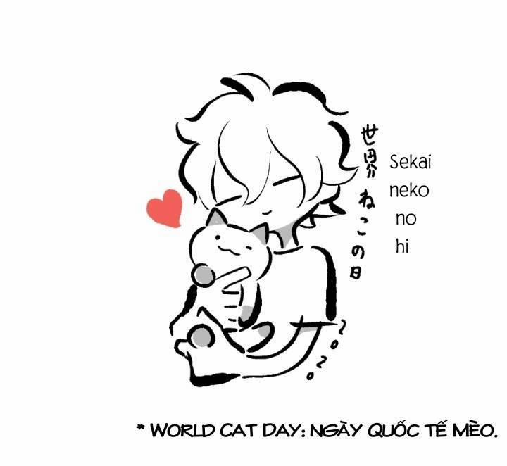 Chú Mèo Kỳ Diệu Kyuu-Chan 800 trang 13