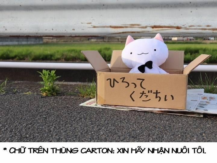 Chú Mèo Kỳ Diệu Kyuu-Chan 800 trang 21