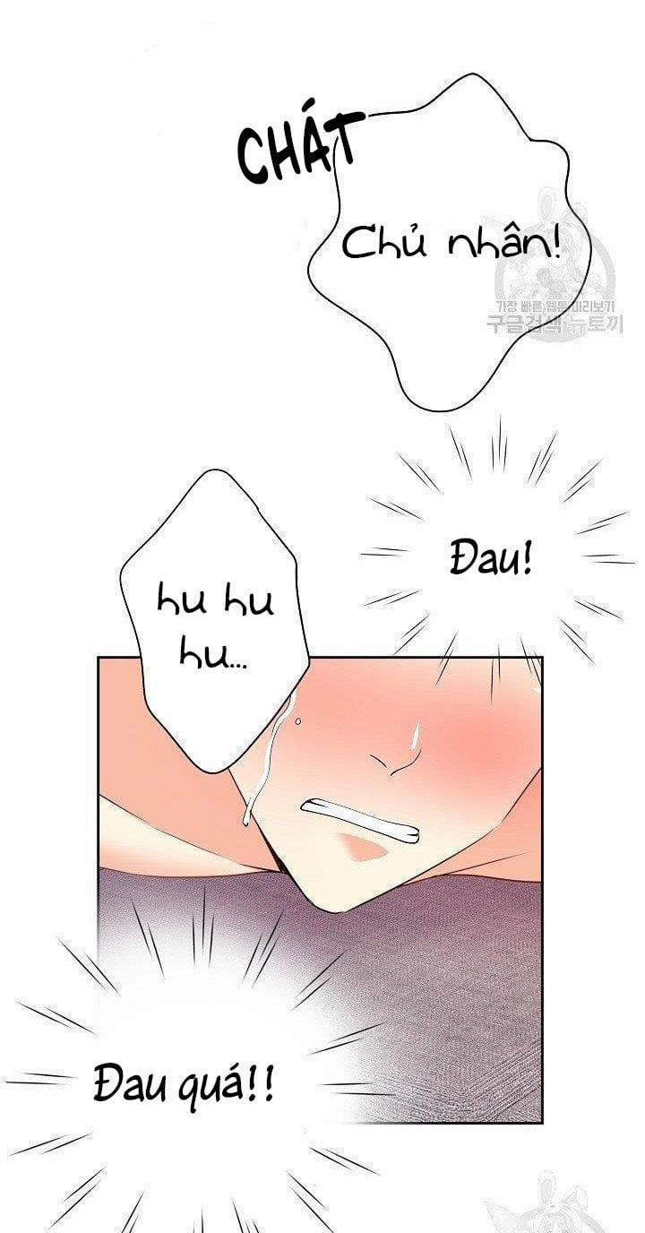 Chủ Nhân À, Xin Anh Hãy Hành Hạ Em Đi 5 trang 71