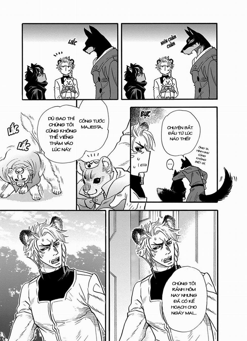 Chủ nhân của tôi 17 trang 13
