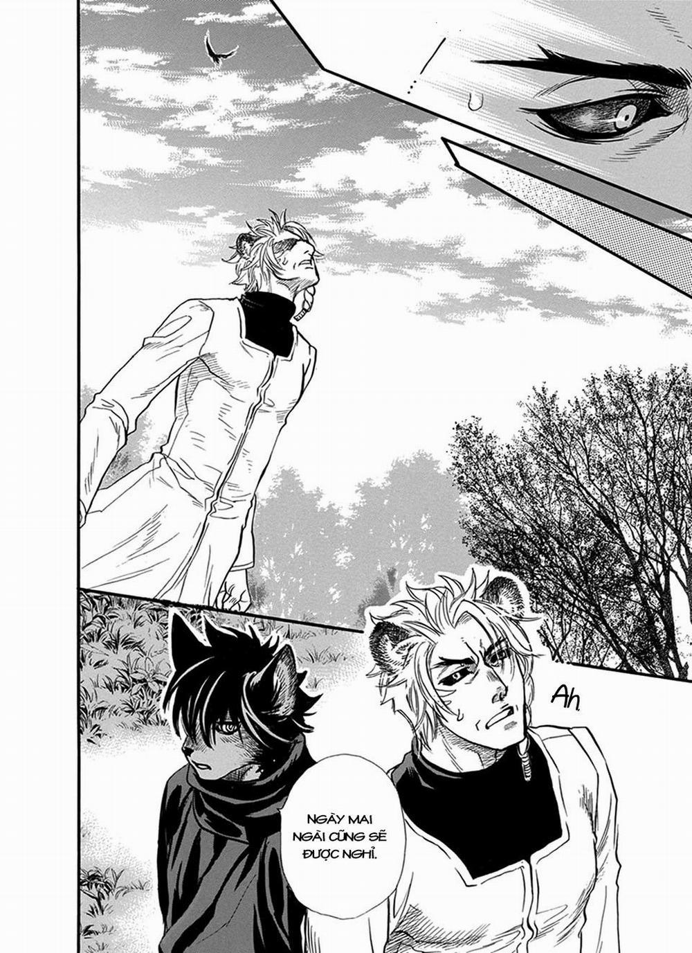 Chủ nhân của tôi 17 trang 14