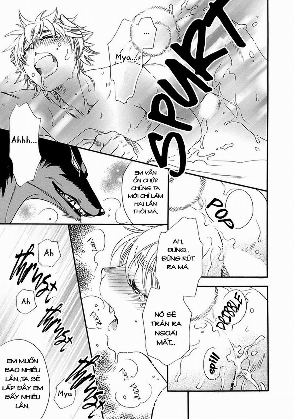 Chủ nhân của tôi 4 trang 11