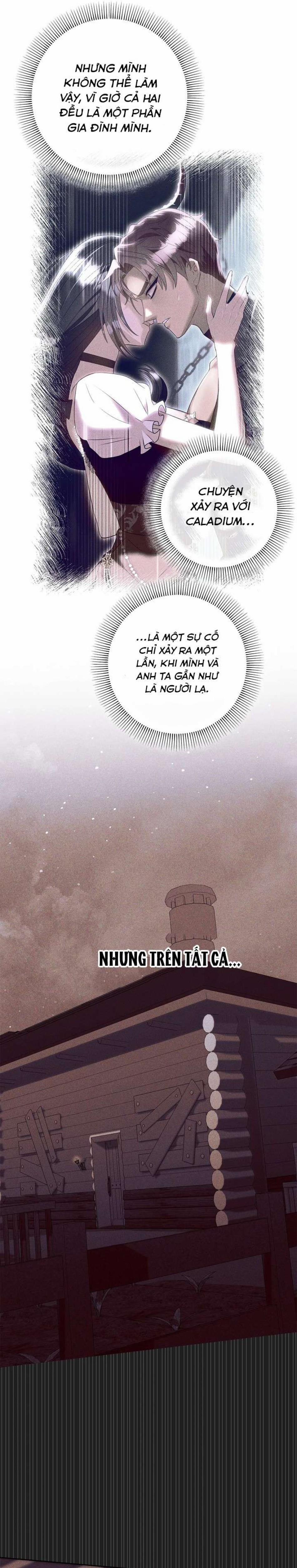 Chủ Nhân Hầm Ngục Hạng S 17 trang 15