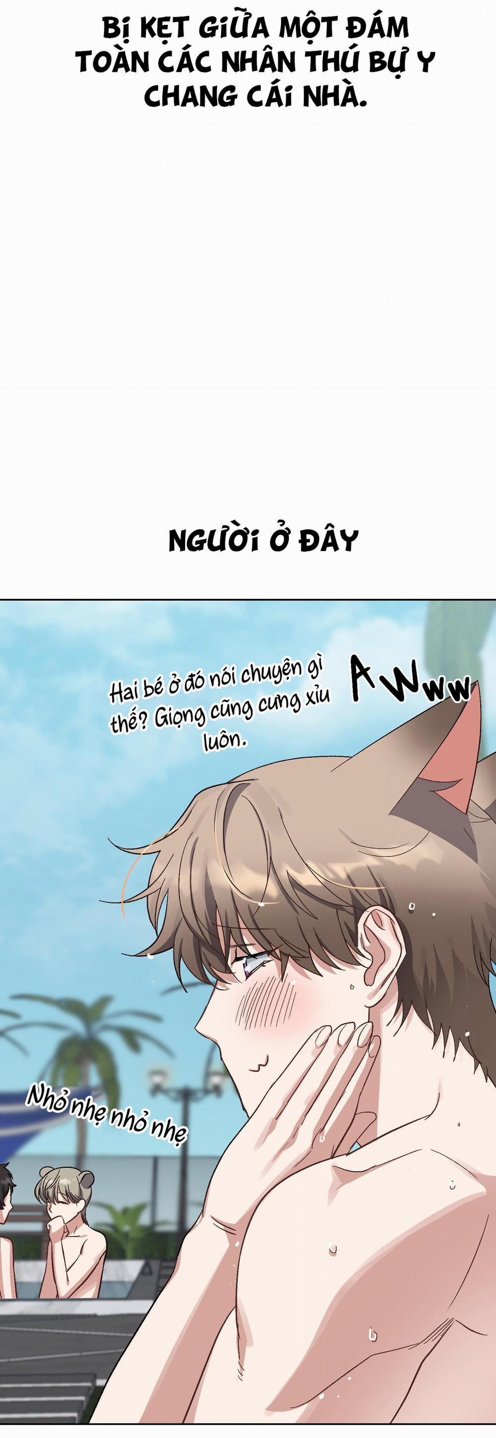 Chú Thỏ Chỉ Cần 3 Giây Là Xuất Tinh 1 trang 18