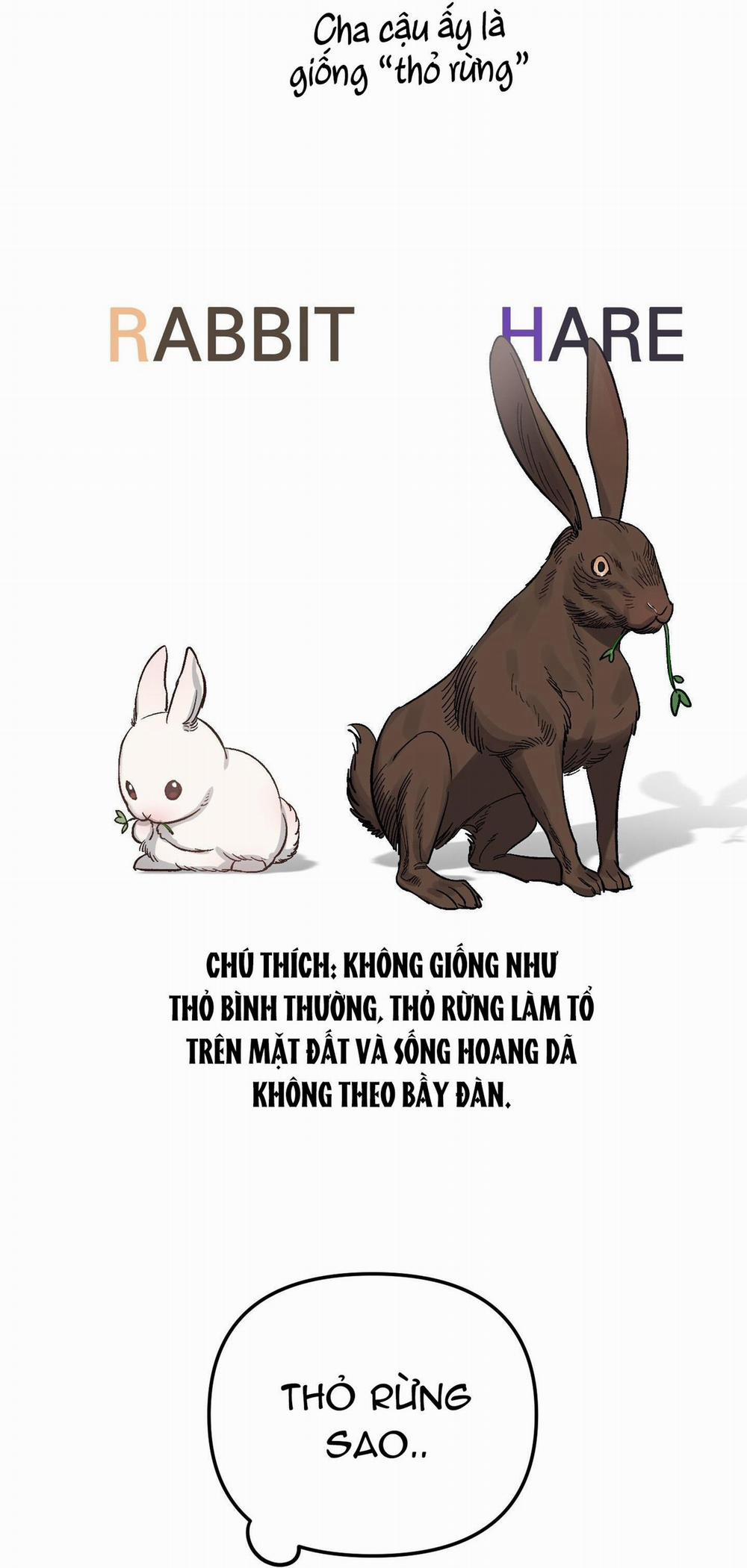 Chú Thỏ Chỉ Cần 3 Giây Là Xuất Tinh 2 trang 38