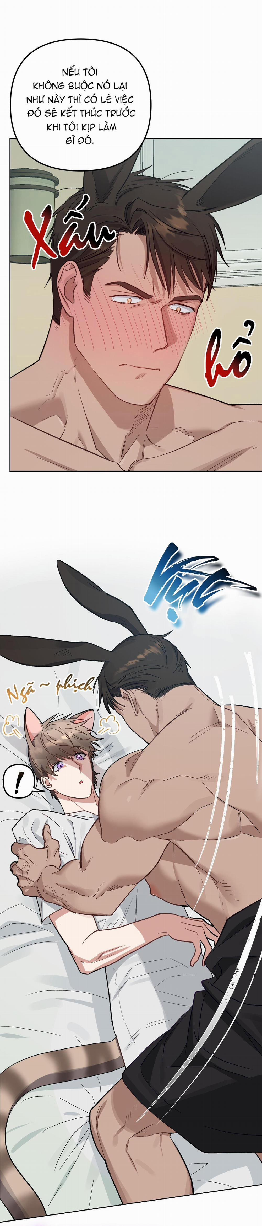 Chú Thỏ Chỉ Cần 3 Giây Là Xuất Tinh 4 trang 3