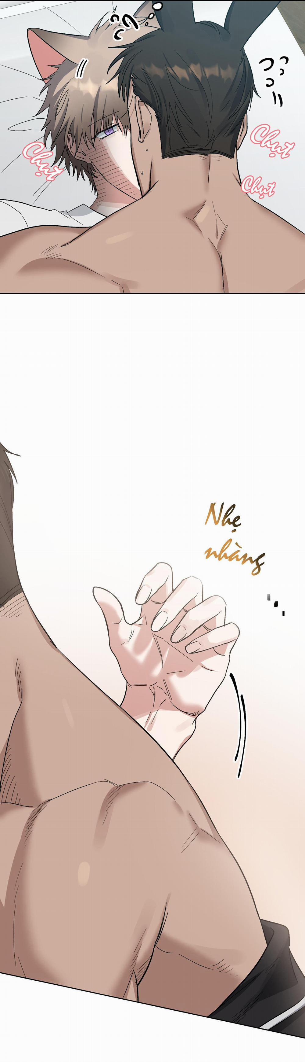 Chú Thỏ Chỉ Cần 3 Giây Là Xuất Tinh 4 trang 7