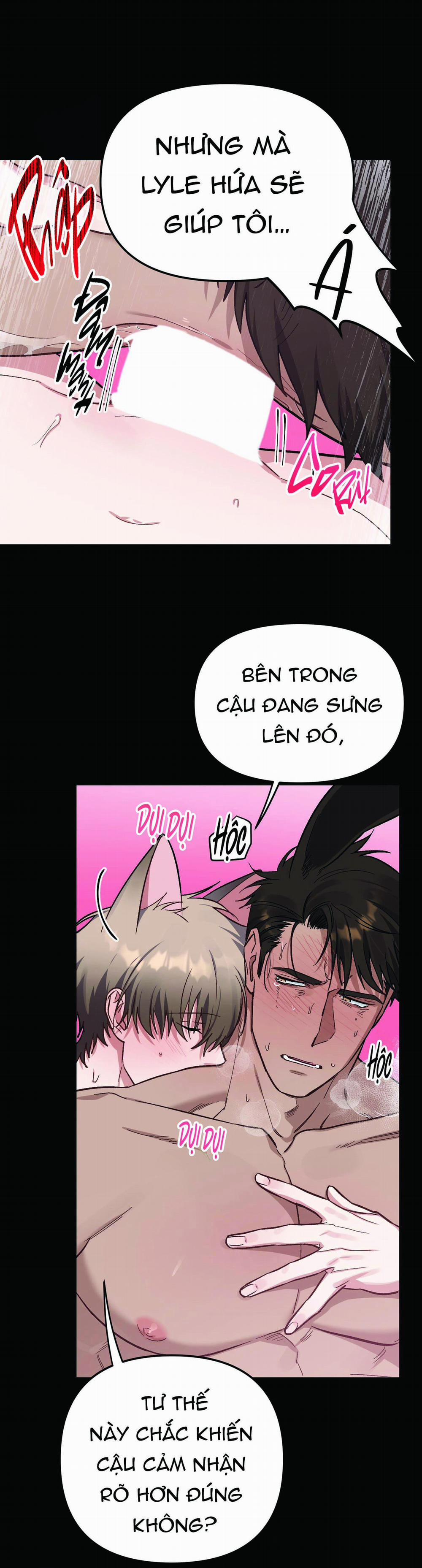 Chú Thỏ Chỉ Cần 3 Giây Là Xuất Tinh 5 trang 14