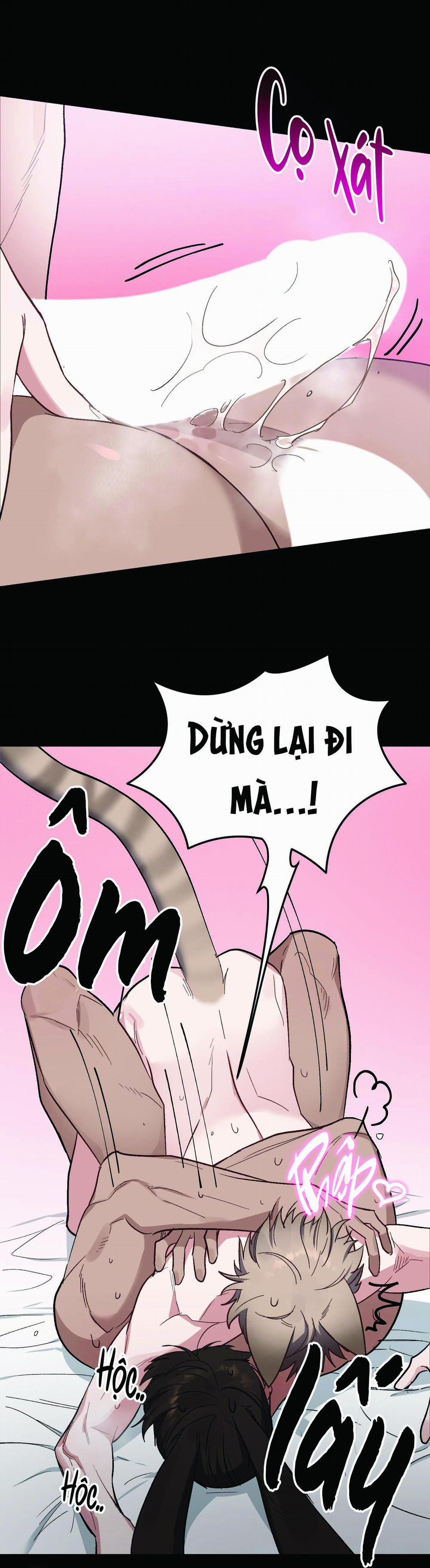 Chú Thỏ Chỉ Cần 3 Giây Là Xuất Tinh 5 trang 9