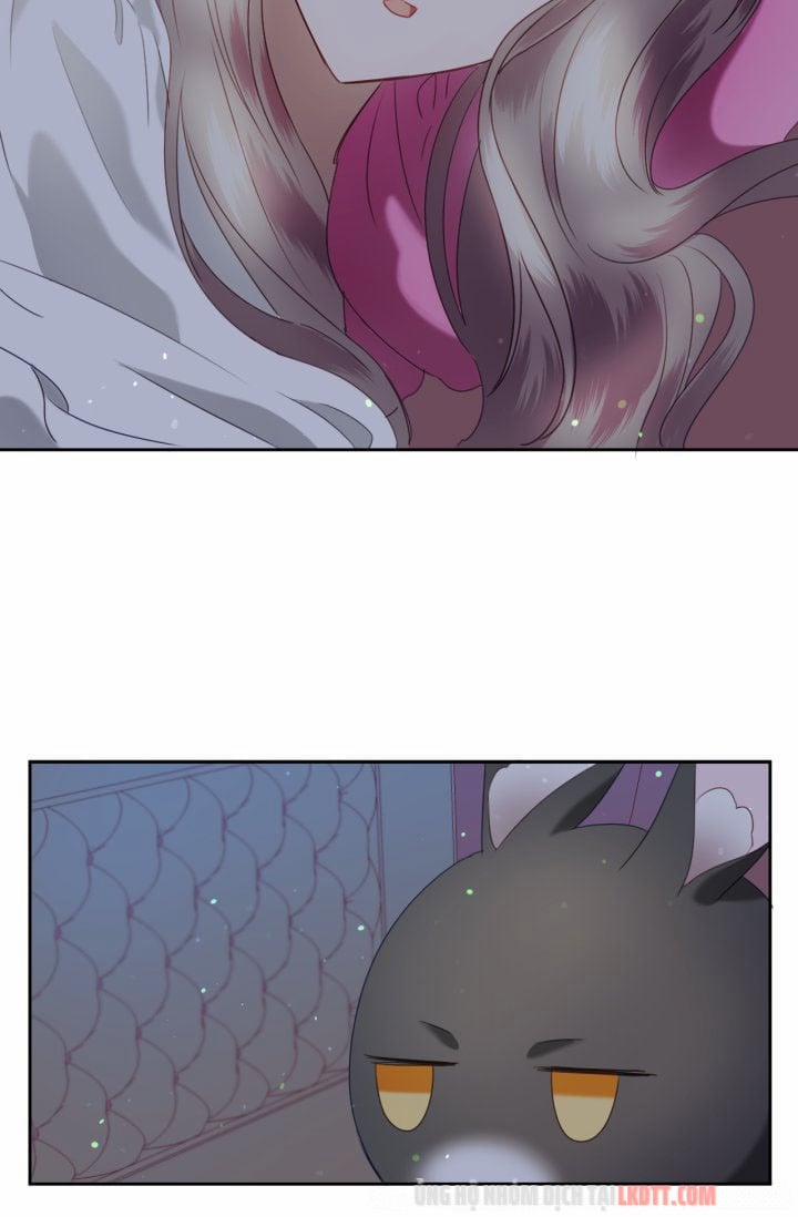 Chú Thỏ Quyền Quý Của Vị Công Nương Giả Mạo 11 trang 24